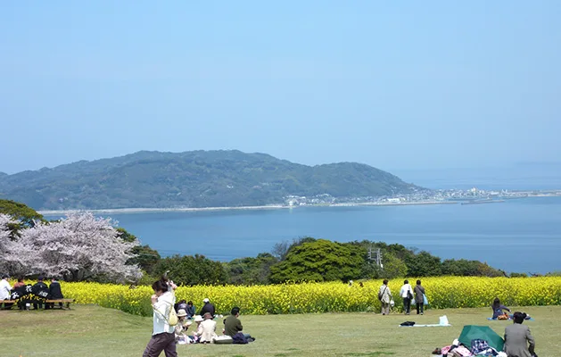 Island Park