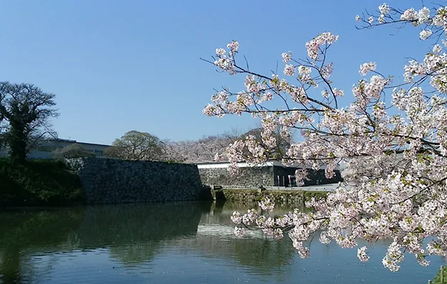 Maizuru Park